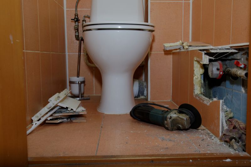 Toilet Plunging detail
